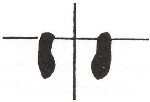 daruma-taiso