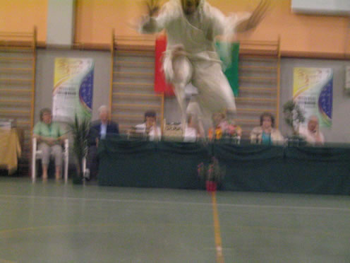 photo gallery aao