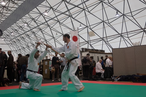 photo gallery aao